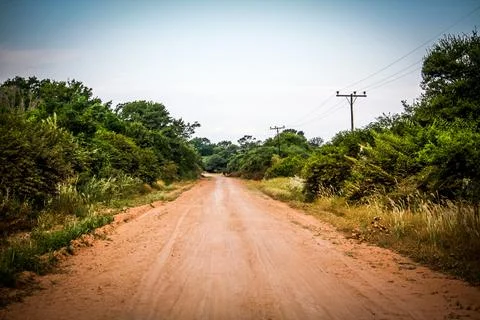 A path with trees on the side of a dirt road Stock Photos