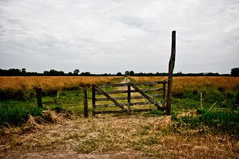A path with trees on the side of a dirt road Stock Photos