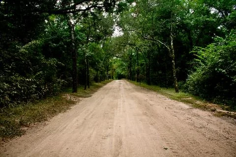 A path with trees on the side of a dirt road Stock Photos