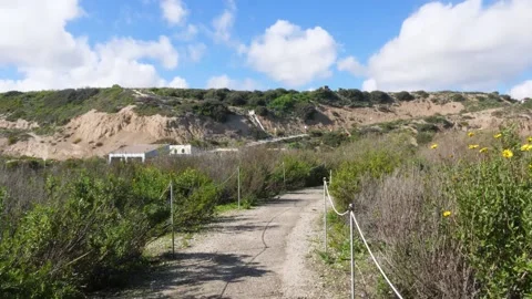 A path with trees on the side of a mountain Stock Footage 156013029