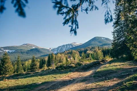 A path with trees on the side of a mountain Stock Photos