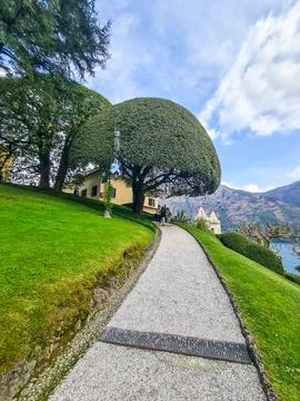 A path with trees on the side of a mountain Stock Photos