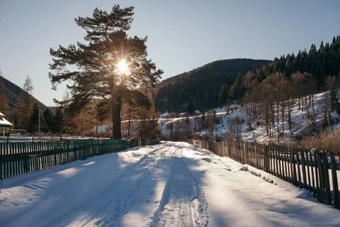A path with trees on the side of a snow covered bridge Stock Photos