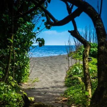 Path to tropical beach Stock Photos