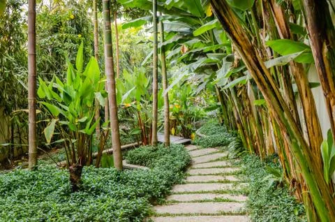 Path in a tropical garden Stock Photos