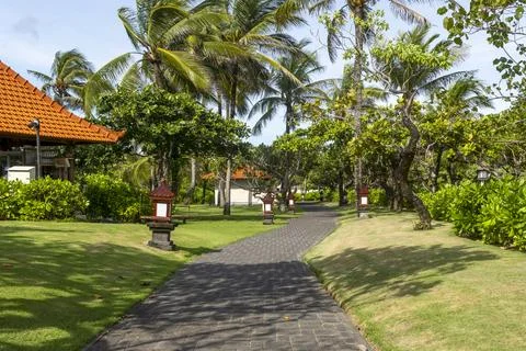 Path in a tropical setting with palm trees and a red roof Stock-Fotos