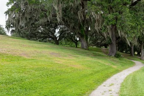 Path Under Spanish Moss Trees Stock Photos