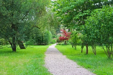 Path under trees Stock Photos