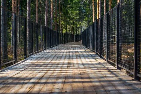 Path into the unknown Stock Photos