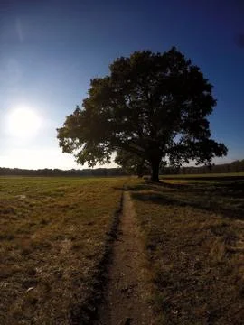 Path to the Unknown Stock Photos