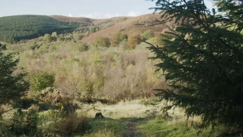 Path into valley Stock Footage 203903809