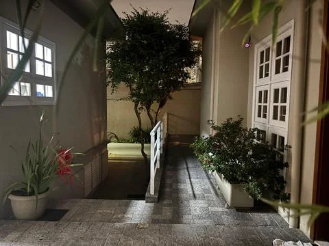 Path with vegetation at night Stock Photos