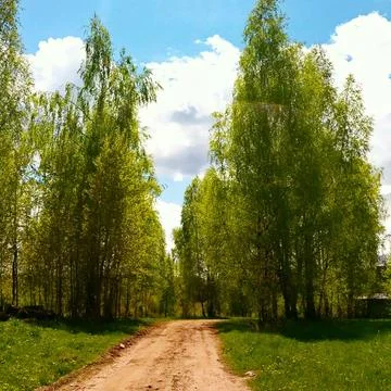 Path in the village. Stock Photos