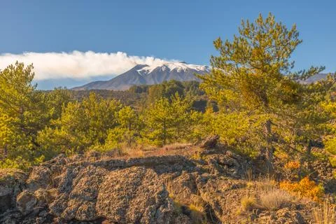 Path to the Volcano Stock Photos