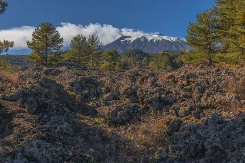 Path to the Volcano Stock-Fotos
