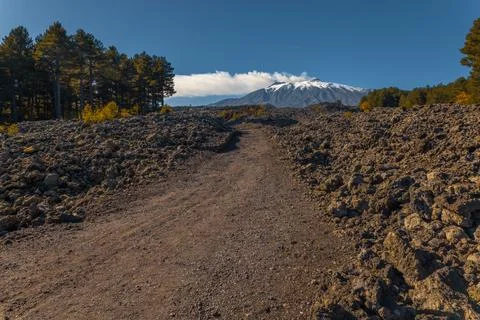 Path to the Volcano Foto stock