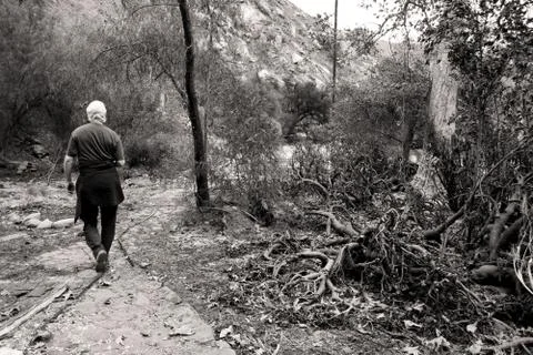 Path Walk After the Fire 15 Black and White Stock Photos