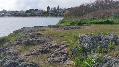 Path walking at Cattle Point Stock Footage 190815372