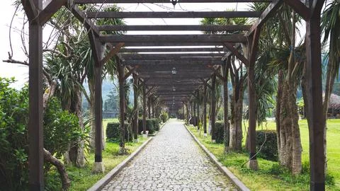 A path walking leading through park forest green trees plants around Stock Photos