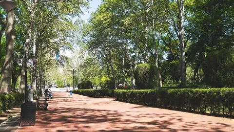 A path walking leading through park forest green trees plants around Stock Photos