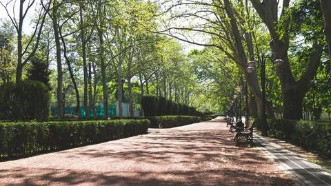 A path walking leading through park forest green trees plants around Stock Photos