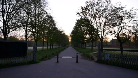 Path for walking in the park Stockbeeldmateriaal 167178642