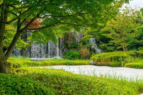 Path to a waterfall Stock Photos