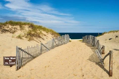 Path way to the beach at Cape Cod Path way to the beach at Cape Cod, Massa... Stock Photos