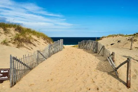 Path way to the beach at Cape Cod Path way to the beach at Cape Cod, Massa... Stock Photos