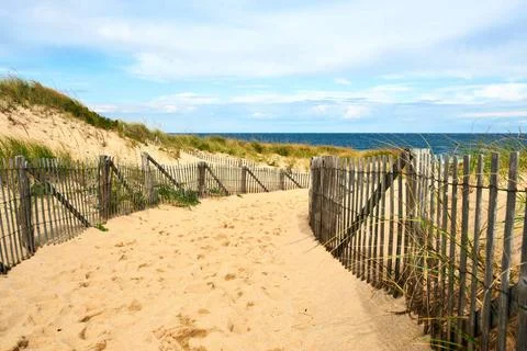 Path way to the beach at Cape Cod Path way to the beach at Cape Cod, Massa... Stock Photos