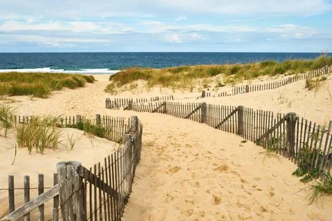 Path way to the beach at Cape Cod Path way to the beach at Cape Cod, Massa... Stock Photos