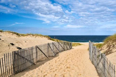 Path way to the beach at Cape Cod Path way to the beach at Cape Cod, Massa... Stock Photos