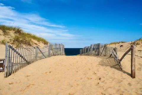 Path way to the beach at Cape Cod Path way to the beach at Cape Cod, Massa... Stock Photos