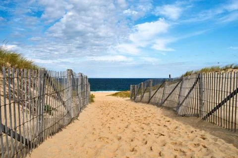 Path way to the beach at Cape Cod Path way to the beach at Cape Cod, Massa... Stock Photos