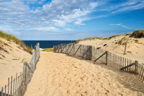 Path way to the beach at Cape Cod Path way to the beach at Cape Cod, Massa... Stock Photos