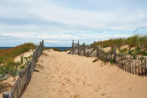 Path way to the beach at Cape Cod Path way to the beach at Cape Cod, Massa... Stock Photos