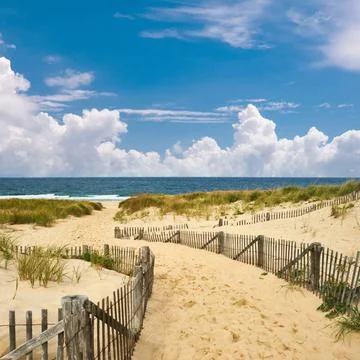 Path way to the beach at Cape Cod Path way to the beach at Cape Cod, Massa... Stock Photos