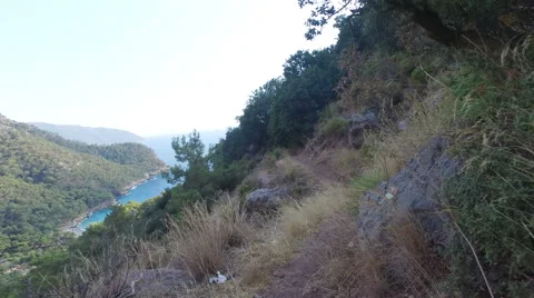 The path way in the forest, 4K Stock Footage 67474430