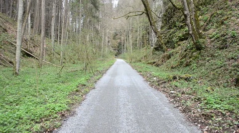 Path way in forest Stock Footage 40017314