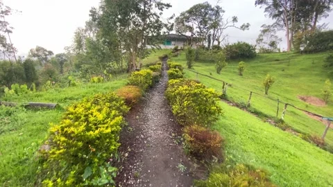 Path on the way to a house in the countryside Stock Footage 230978400