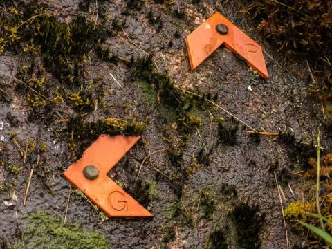 Path way marks in wet rocks Stock Photos