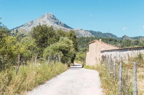 Path way to the mountain Stock Photos