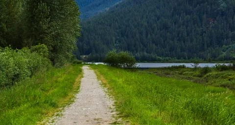 A path way passage through the forest. walking path through the forest in BC  Stock Photos