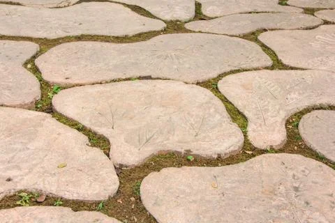 Path way Stock Photos