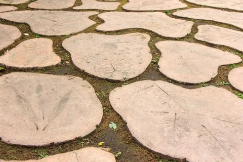 Path way Stock Photos