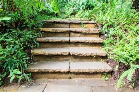 Path way Stock Photos