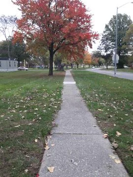 Path way Stock Photos