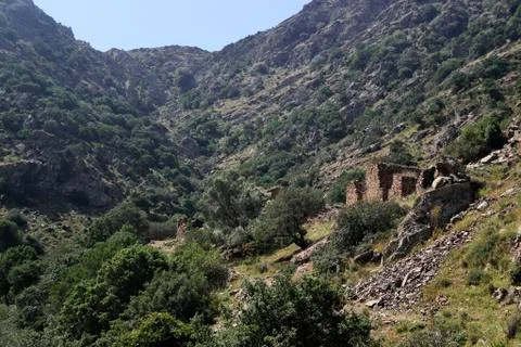 Path The way of Silver Stock Photos