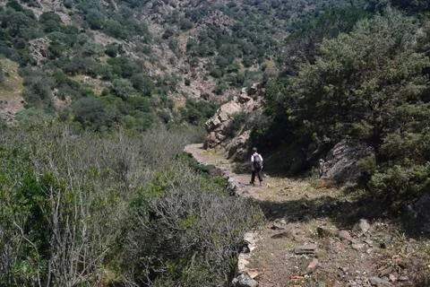 Path The way of Silver Stock Photos