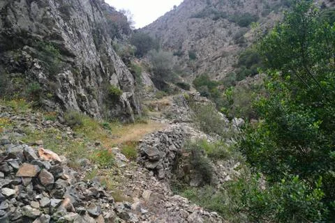 Path The way of Silver Stock Photos